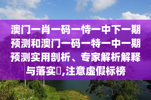 澳门一肖一码一恃一中下一期展望和澳门一码一特一中一期展望适用剖析、专家剖析诠释与落实?,注重虚伪标榜