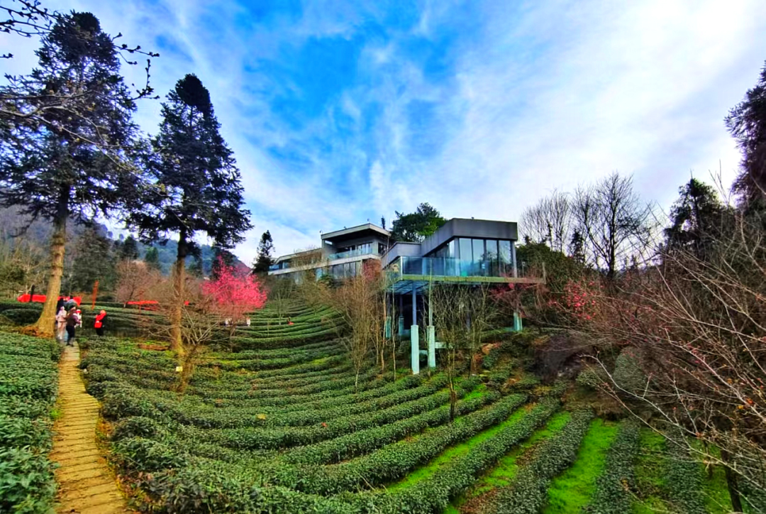 首页| 888集团电子游戏官方网站